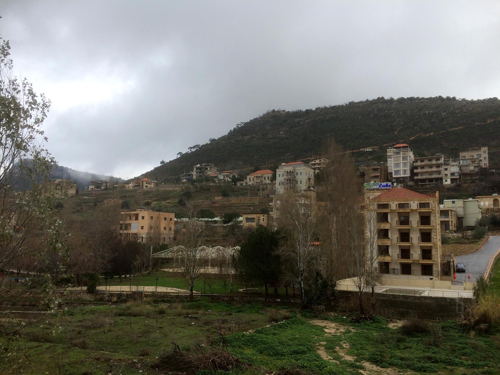 백향목, 레바논 동북쪽 산악 지역에만 소규모 군락 남아