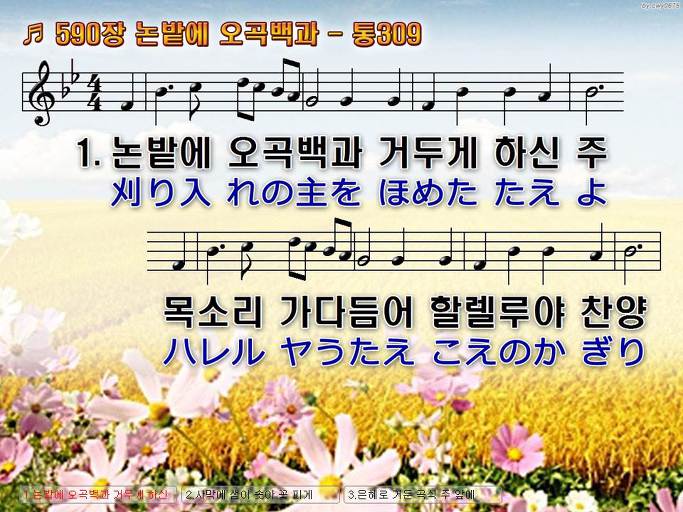 한국어+일본어 찬송가 - 590장 논밭에 오곡백과